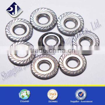 Shop Online Large Serrated Low Price Flange Nut