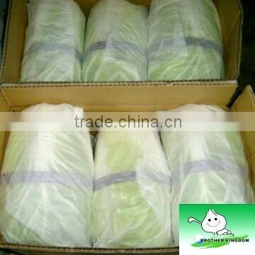 Chinese Cabbage Fresh Cabbage