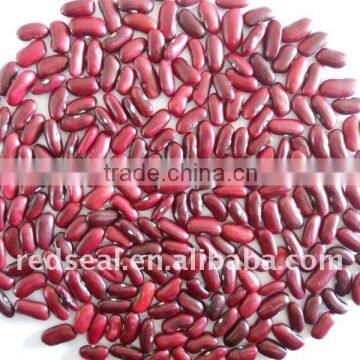 2011 new dark red kidney beans