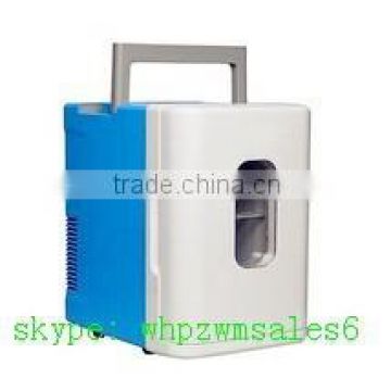 Mini Car Refrigerator Rotational Mold