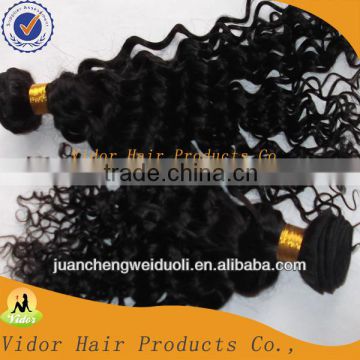 Top Grade Wholesale 5A Top Quality 100% Virgin Brazilian Hair