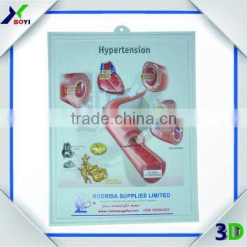Factory Custom Printed 3D Human Anatomy Poster photo-2