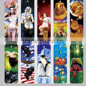 3d Sex Girls Pictures With Animals