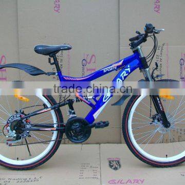 Qualified strong aluminum exercise adult bicycle with ISO9001