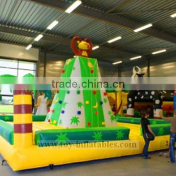 Top quality professional inflatable climb in ball