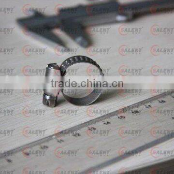 Stainless Steel band Clamp