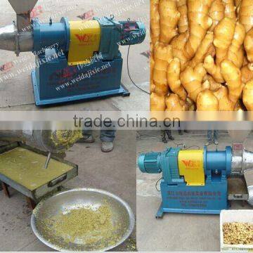 Ginger Juice Extractor In Juice Production Line