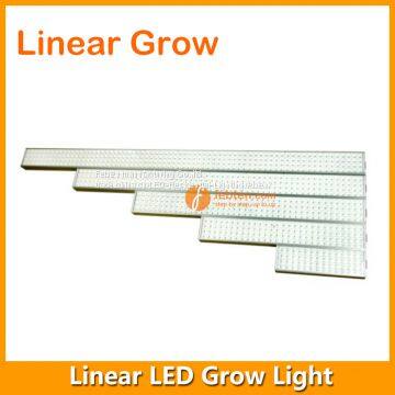 4FT 95W LED Grow Lighting photo-4