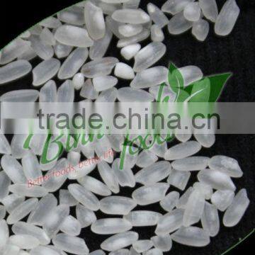 PREMIUM-QUALITY CAMOLINO RICE