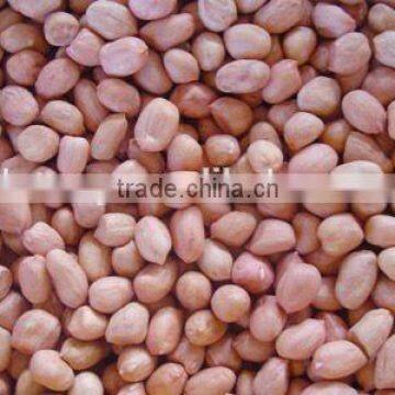 Chinese Light Peanut Kernel With Red Skin photo-4