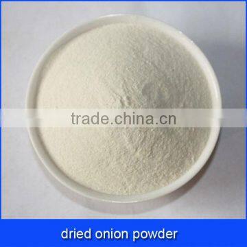 dried onion powder