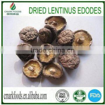 Dried Lentinus Edodes Exporter