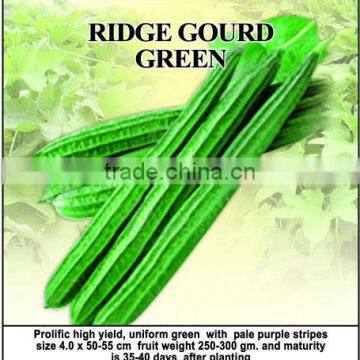 HANA F1 Green Ridge Gourd Seeds