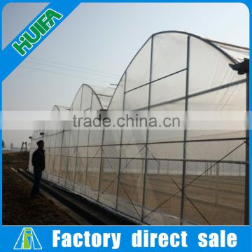 Plastic Multi span greenhouse for vegetable garden