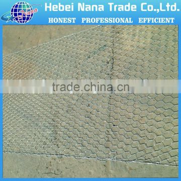 hexagonal wire mesh