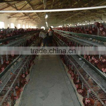 The 3 Layer/4layers/5layer Chicken Cage photo-3