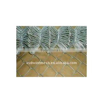 Chain Link Fence(Anping Manufacture)