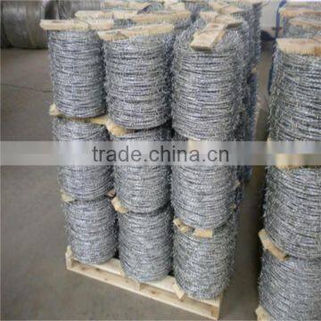 Excellent Sharp Military Security Barbed Wire Roll Price