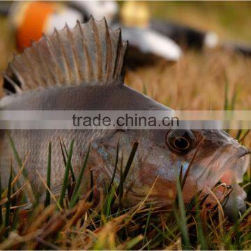 2017 Hotsale Tungsten Resin Round Jig Head 1/2oz 3/8oz photo-4