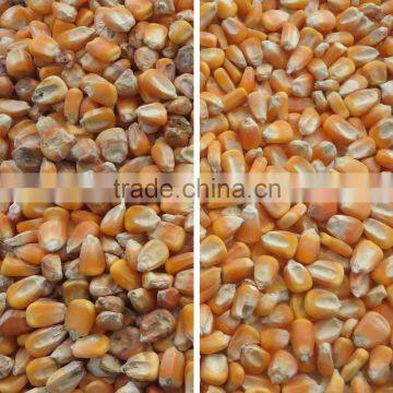 RGB Camera Ccd Grain Color Sorter Machine With 2T/H High Capacity photo-4