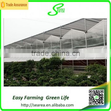 mist greenhouse for sales