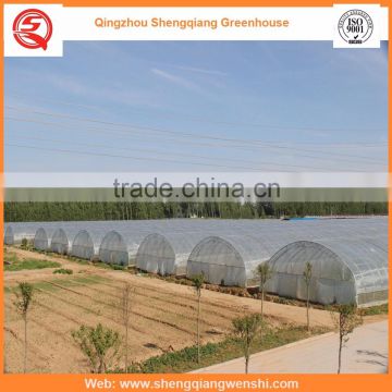 High quality 12m multi-span agricultural plastic houses for vegetables