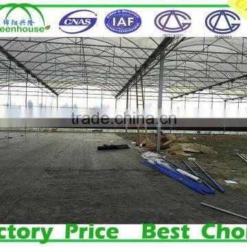 Agriculture Economic and Efficient UV-anti Film Poly Tunnel Greenhouse photo-4