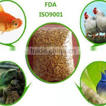 Aquarium Fish Food / Ornamental Fish Food,Dried Mealworms Fish Feed