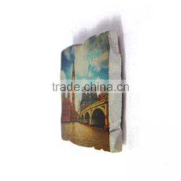 2016 Hot Sale Resin Fridge Magnet photo-2