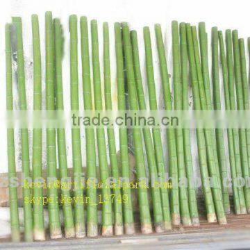 Hotel Lobby Decoration Bamboo Plant Stand Bamboo Poles Cheap Artificial Artificial Bamboo photo-3