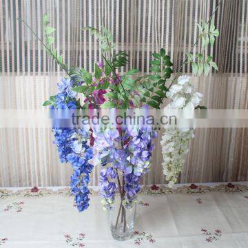 CHY012818 Wisteria Blossom Flower photo-3