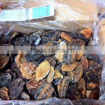 Sea Cucumber , Hokkaido , Japan , High Quality photo-2