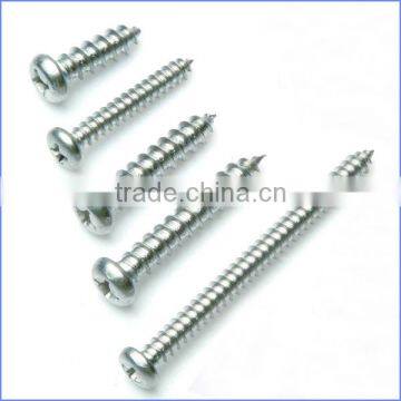 Din7981 Pan Head Self Tapping Screw Tapping Made in China photo-4