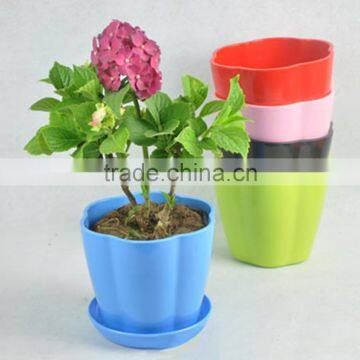 Decorative Fancy Various Size Flower Pot photo-6