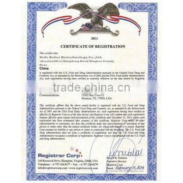 Superior Quality Sugar Based Instant Drink Lemon Fruit Powder photo-4