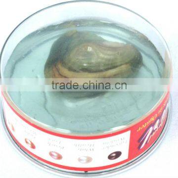 (January) Aquarius Wish Pearl Gift(English Version) photo-6