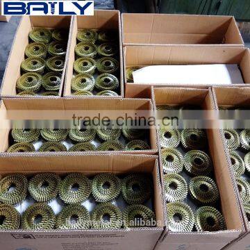 Manufactuer Supply High Quality Construction Nail photo-6