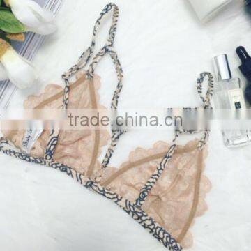 Runwaylover 5381 Hot Sale Ladie Sexy Ladies Embroider Lace Bra Set photo-2