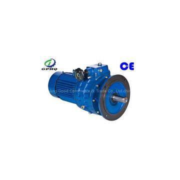 S worm speed reducer motor
