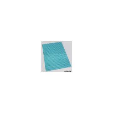 Twin-Wall Polycarbonate Sheet (4mm)