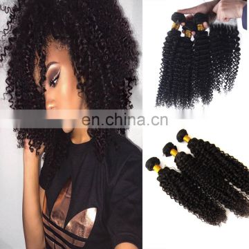 2017 hot sale kinky curly raw virgin hair indian hair salon chair hair product