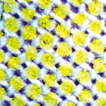 Water-soluble Interlining Shirt Interlining Woven