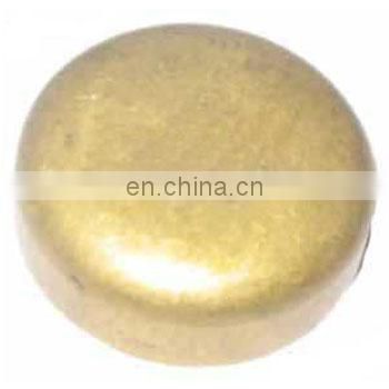 For Massey Ferguson Tractor Water Plug Brass Reference Part N. 00650563 - Whole Sale India Best Quality Auto Spare Parts