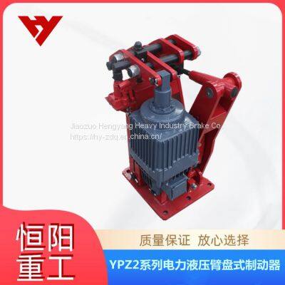 Hengyang Heavy Industry Electric Hydraulic Arm Disk Brake YPZ2 | -500/80 Closing Limit Travel Switch photo-5