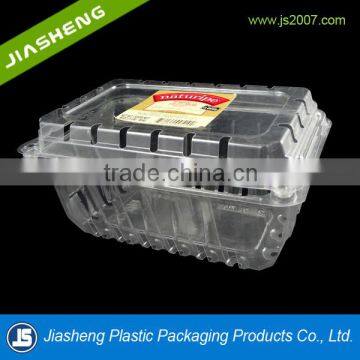 plastic blister packaging tray for fruit and vegetable