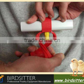 Professional Poultry Drinking System for Chicken and Broilers photo-4