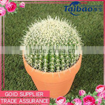 Tianjin factory echinopsis tubiflora PE material artificial cactus plants with pot