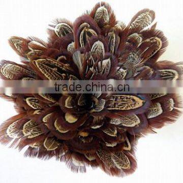 Wholesale pheasant feather