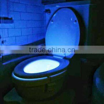 Hot product led bathroom sensor night light supplier from china