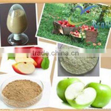 Apple Polyphenols Factory UV 50%-80% Polyphenols